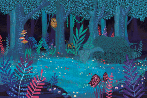 illustration_nuit